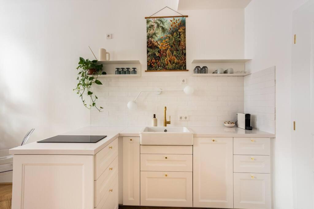 St. Elizabeth 2 Apartment Vienna Luaran gambar